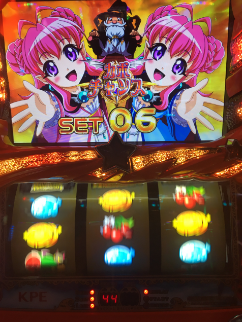 {Photo02}