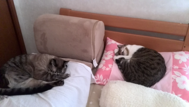 {Photo05}