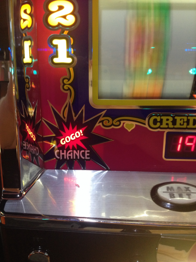 {Photo03}