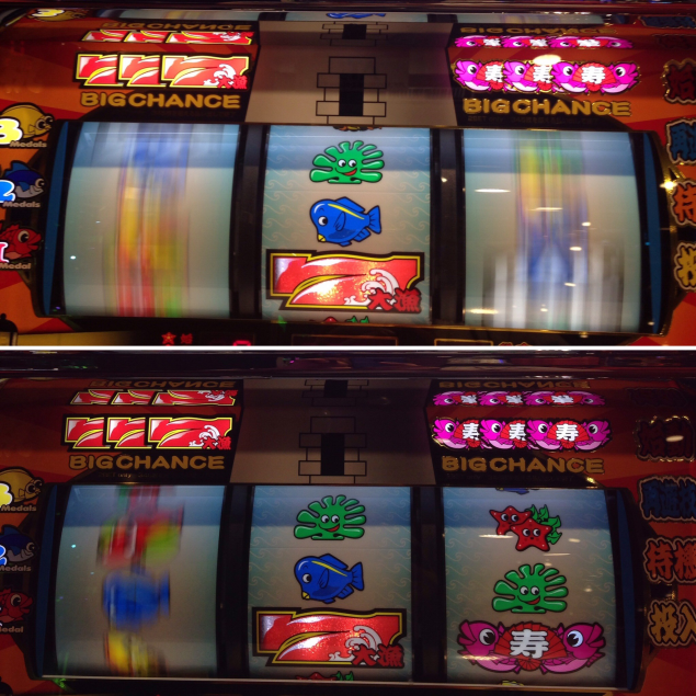 {Photo03}