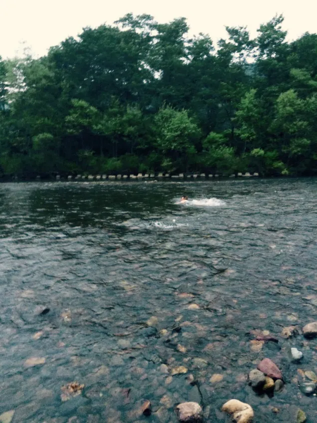 {Photo02}