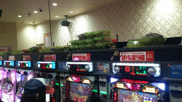 {Photo02}