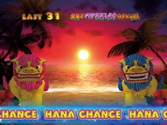 ハナペカ　HANA CHANCE