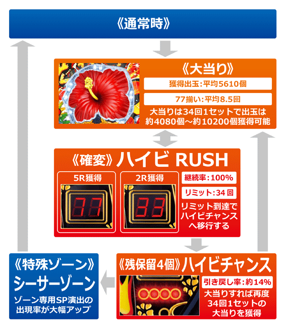 デカビスカス　ゲームフロー