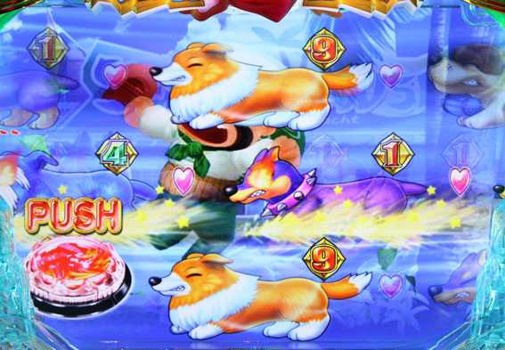 わんわんパラダイスV 炎目