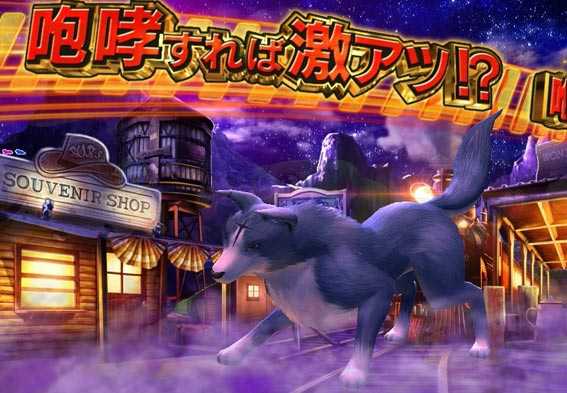 わんわんパラダイスV ノラゾーン