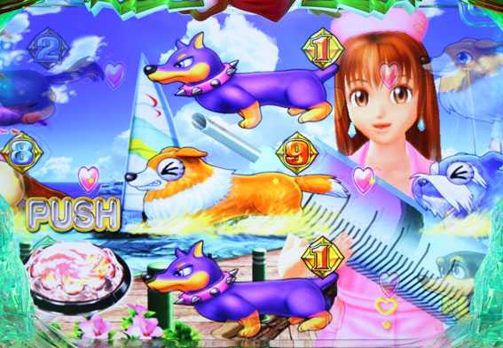 わんわんパラダイス ナース