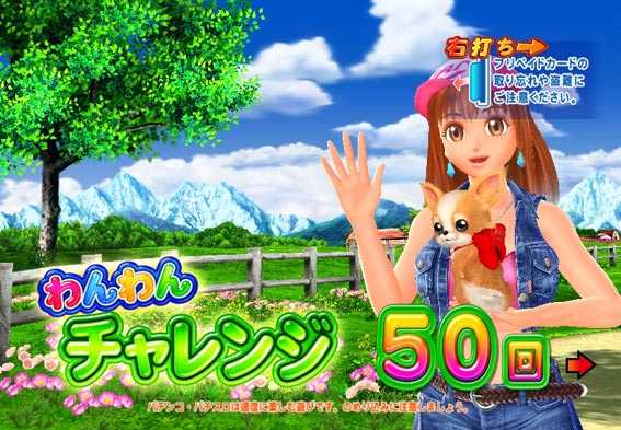 わんわんパラダイスV わんわんチャレンジ