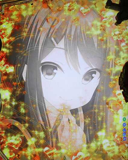 ガールフレンド 金ドデカ