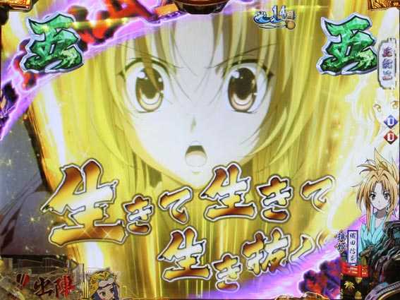 織田信奈の野望 全国版 金カットイン