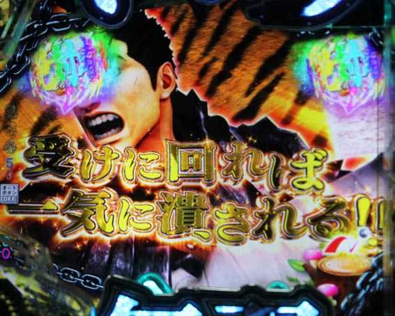 ベルセルク無双 虎柄カットイン