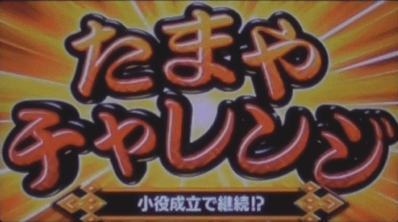 新ハナビたまやチャレンジ導入