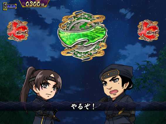 真・暴れん坊将軍 双撃 アニメリーチ
