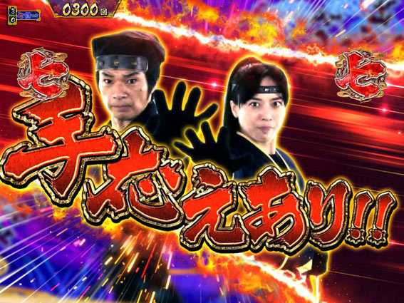 真・暴れん坊将軍 双撃 赤カットイン