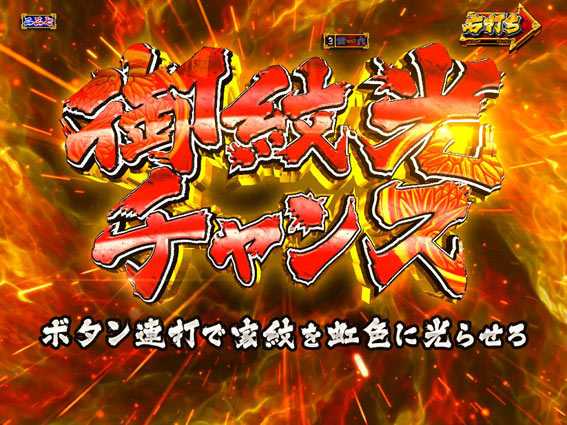 真・暴れん坊将軍 双撃 御紋光チャンス