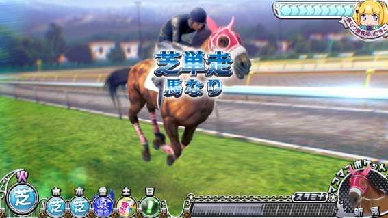 ジーワンダービークラブ3調教