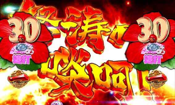 PA遠山の金さん2　遠山桜と華の密偵　JWD 怒涛の啖呵リーチ