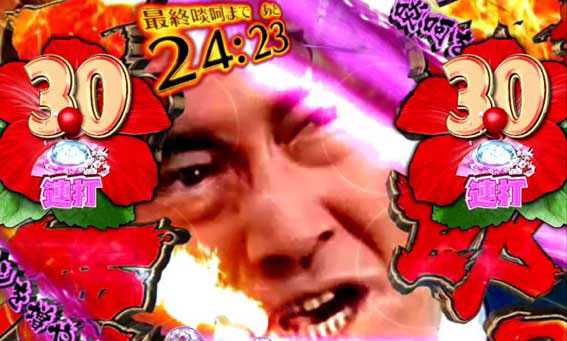 PA遠山の金さん2　遠山桜と華の密偵　JWD 怒涛の啖呵リーチ