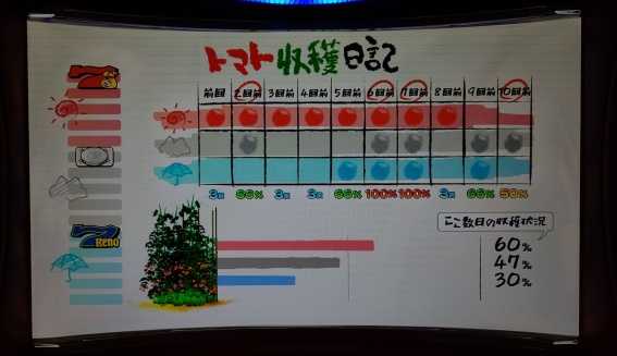 スーパーリノ　トマト収穫日記