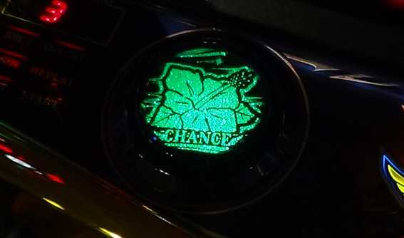 ハナハナホウオウ アメイジングチャンス