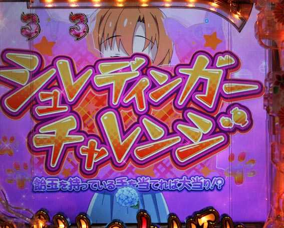 シュレディンガーチャレンジ
