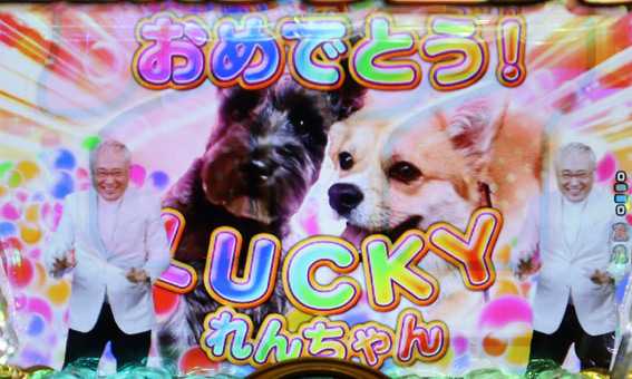 高須クリニック ドバイの犬リーチ