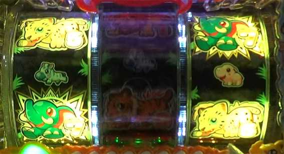 野生の王国ドラム　サファリ　ダブルライン