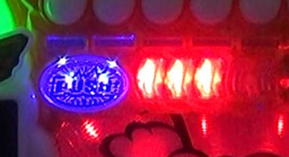 野生の王国ドラム サファリ