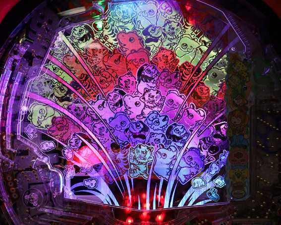 野生の王国ドラム サファリ レインボー