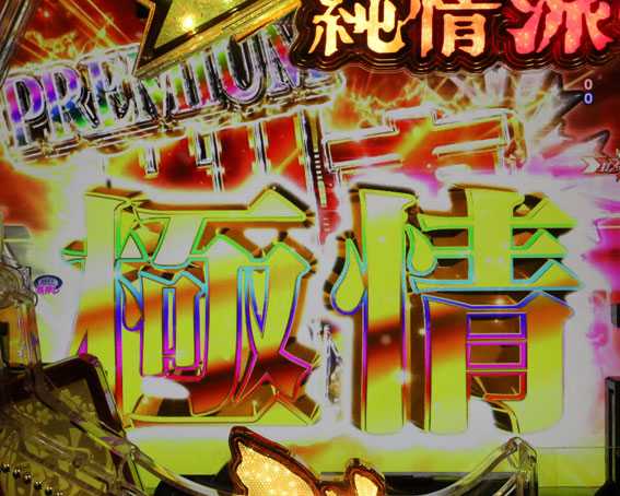はぐれ刑事純情派　プレミアム刑事ボーナス極情