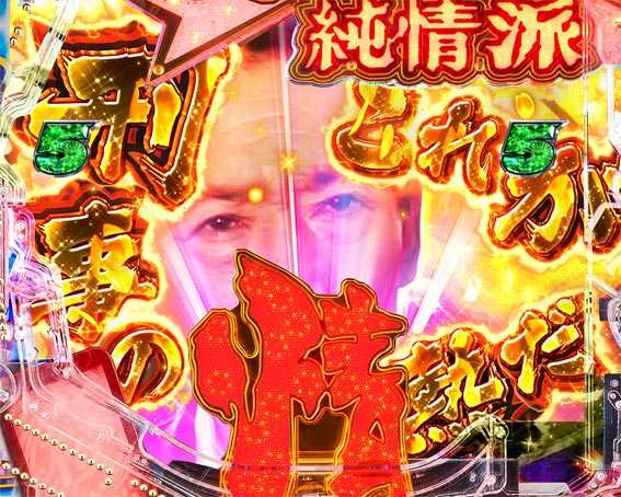 はぐれ刑事純情派 情熱カットイン