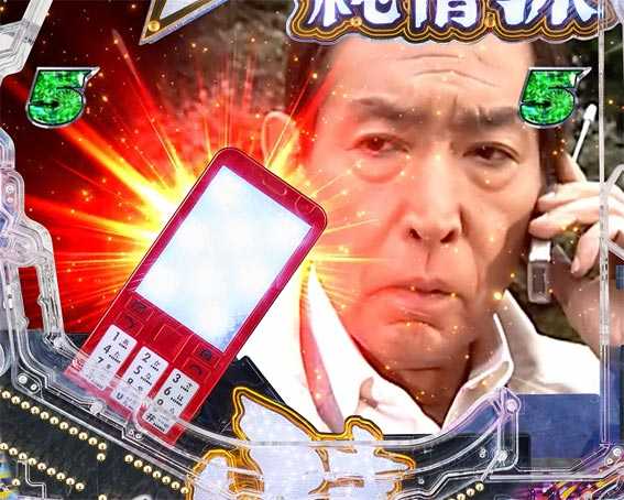 はぐれ刑事純情派　