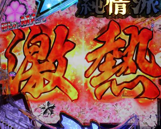 はぐれ刑事純情派　激熱