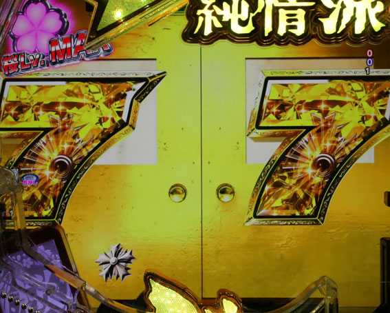 はぐれ刑事純情派 金扉