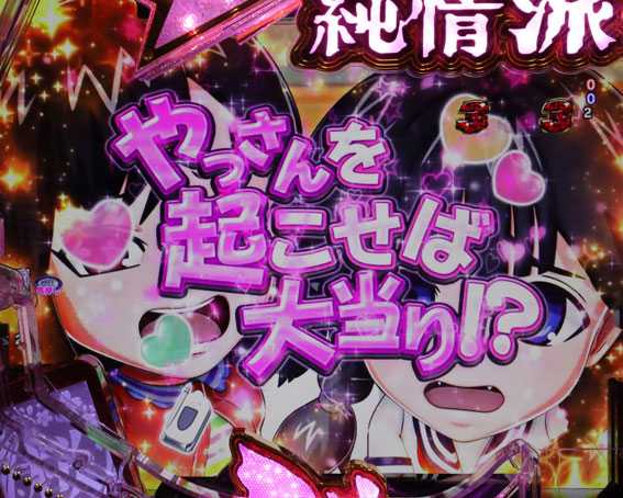 はぐれ刑事純情派 エリユカチャンス