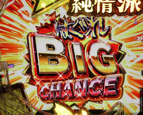 はぐれ刑事純情派　はぐれBIG CHANCE