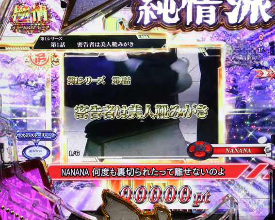 はぐれ刑事純情派　極情メモリアルモード