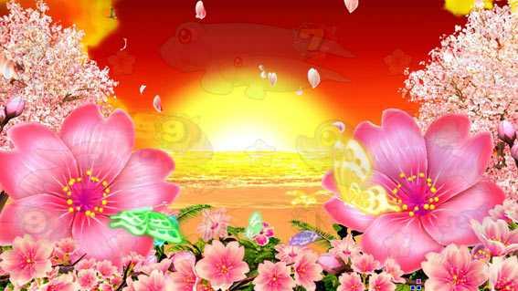 Pスーパー海物語 IN 沖縄5 夜桜超旋風　夕方