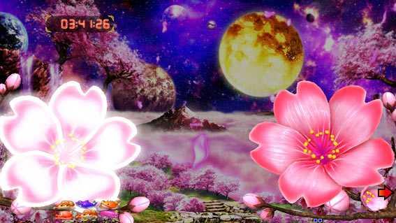 Pスーパー海物語 IN 沖縄5 夜桜超旋風　桜ビスカス