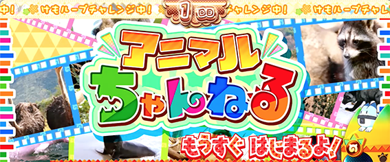 けもフレのけもループ1