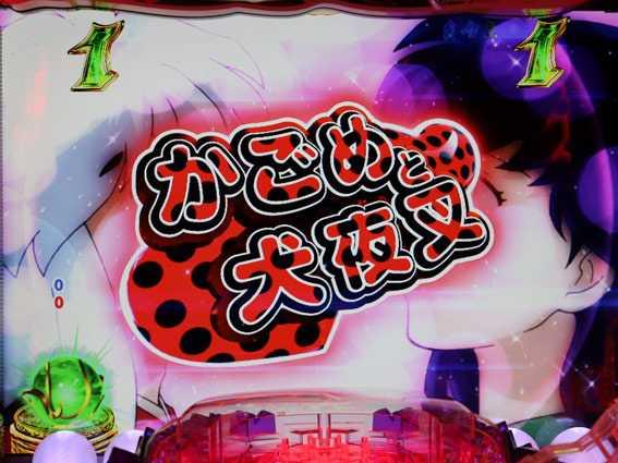 犬夜叉2　てんとう虫柄