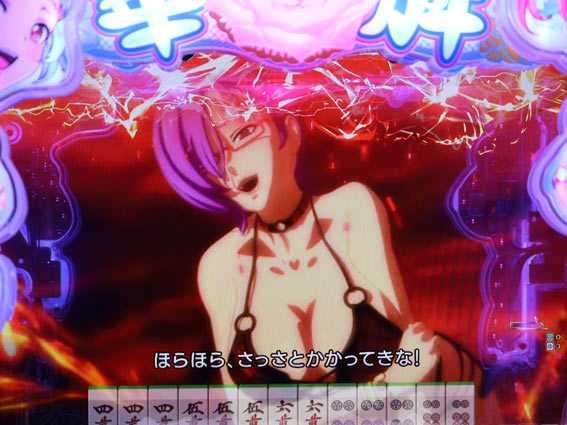 華牌RR なんごくチャージ