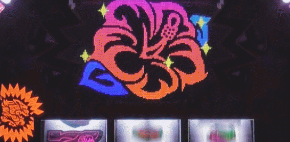 RYUKYU BEATのハナ左向き