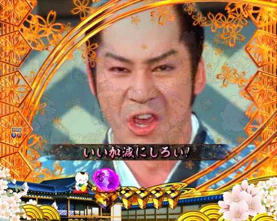 新遠山の金さん　花嫁を攫え