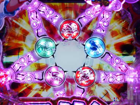 GOGOマリン　スターライト