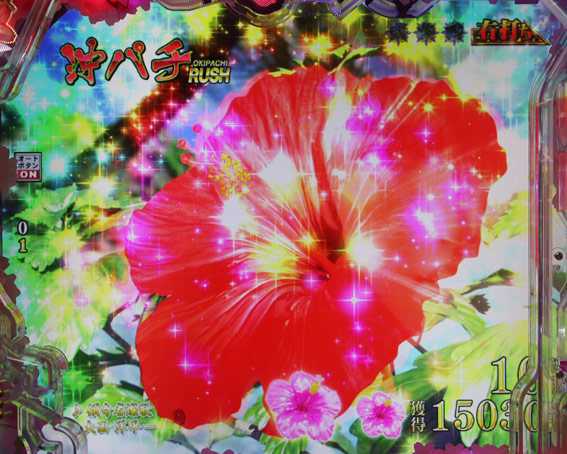 真花の慶次3黄金一閃　花