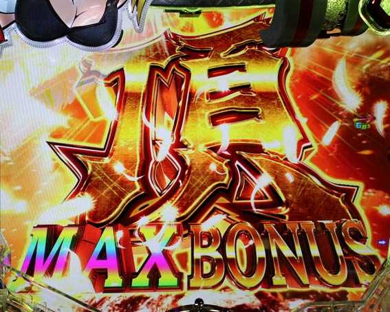 ダンベル何キロ持てる　頂MAX BONUS