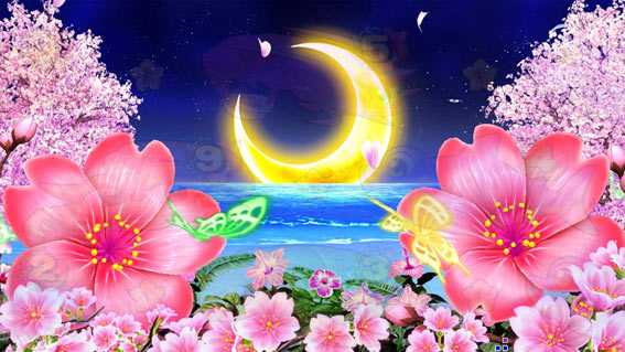 スーパー海物語IN沖縄5 夜桜超旋風99　三日月