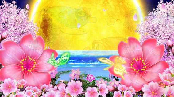スーパー海物語IN沖縄5 夜桜超旋風99　満月