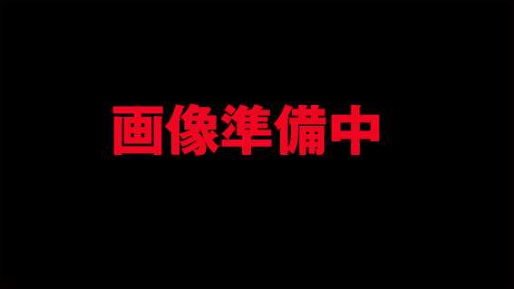 戦国無双3のバーニング柄
